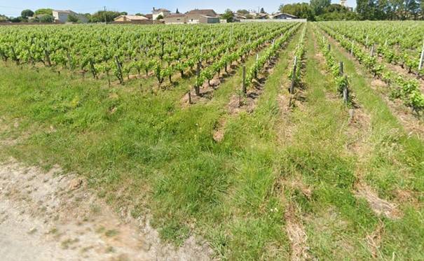 Construction d’une maison familiale en bois à CUSSAC-FORT-MEDOC vers Bordeaux 