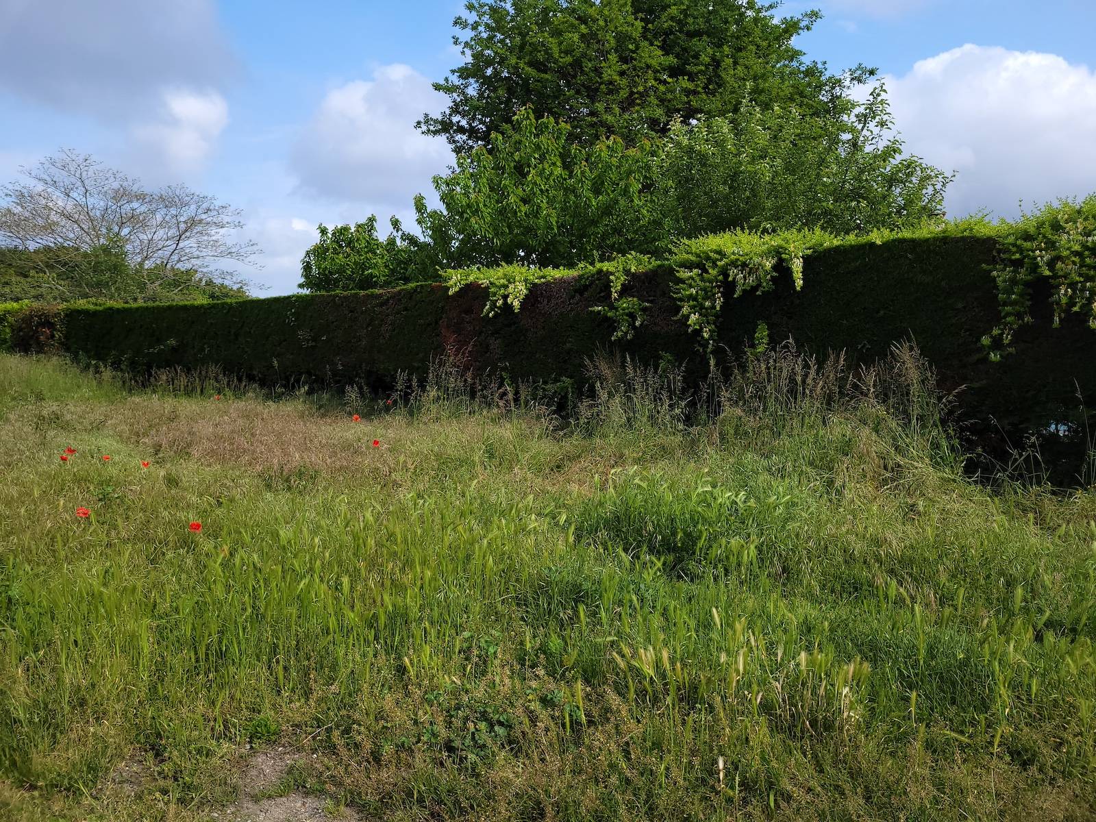 Faire construire sa maison en bois eco-responsable à Lacanau proche de l’océan 