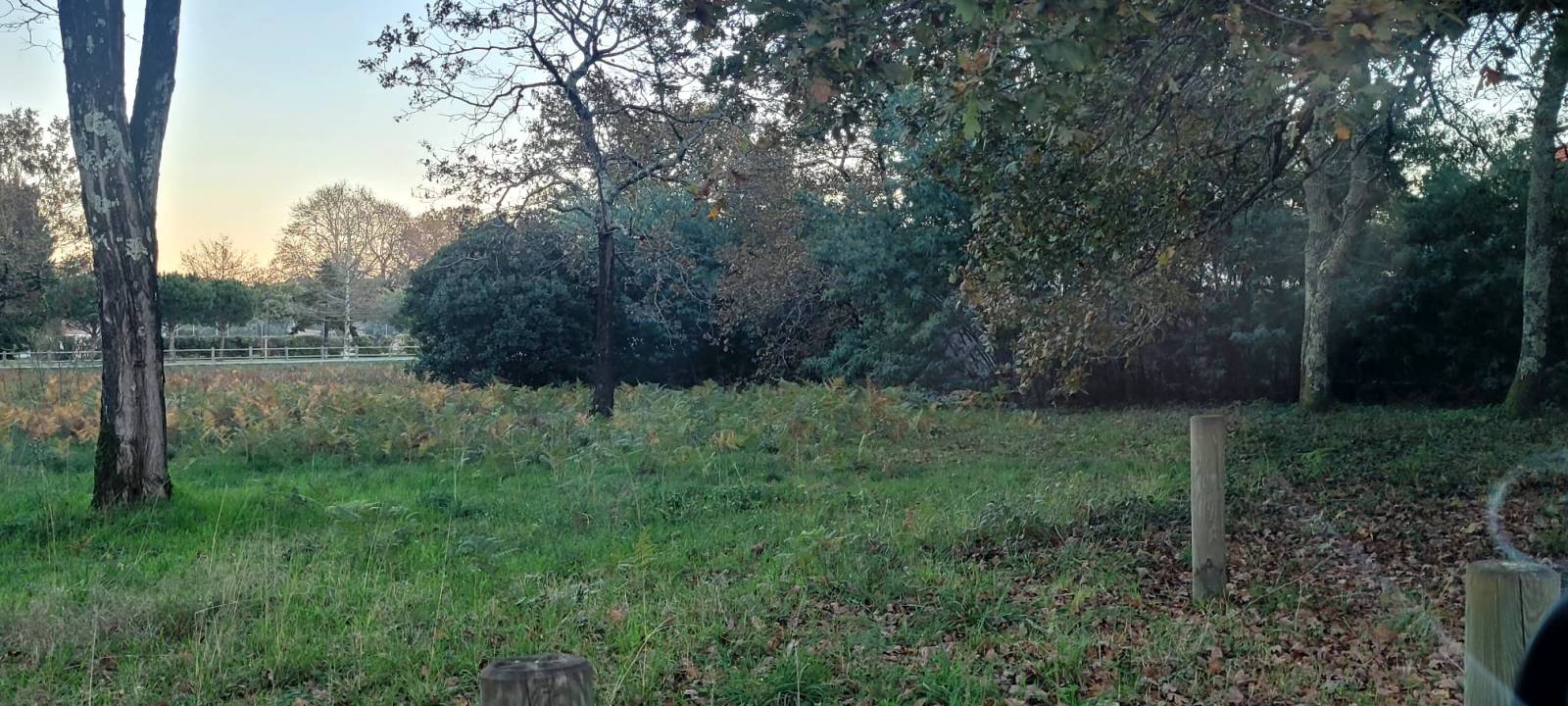 Projet de construction d’une maison à ossature bois sur la commune de Léognan  