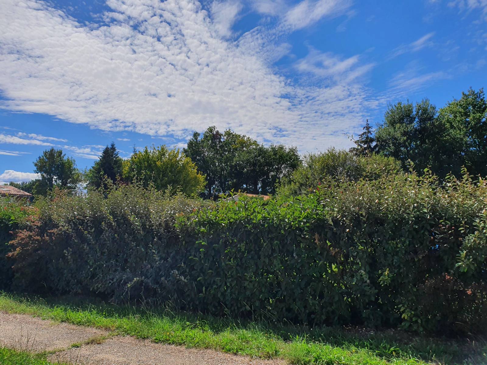 Opportunité Terrain constructible à Arsac pour maison traditionnelle en Bois