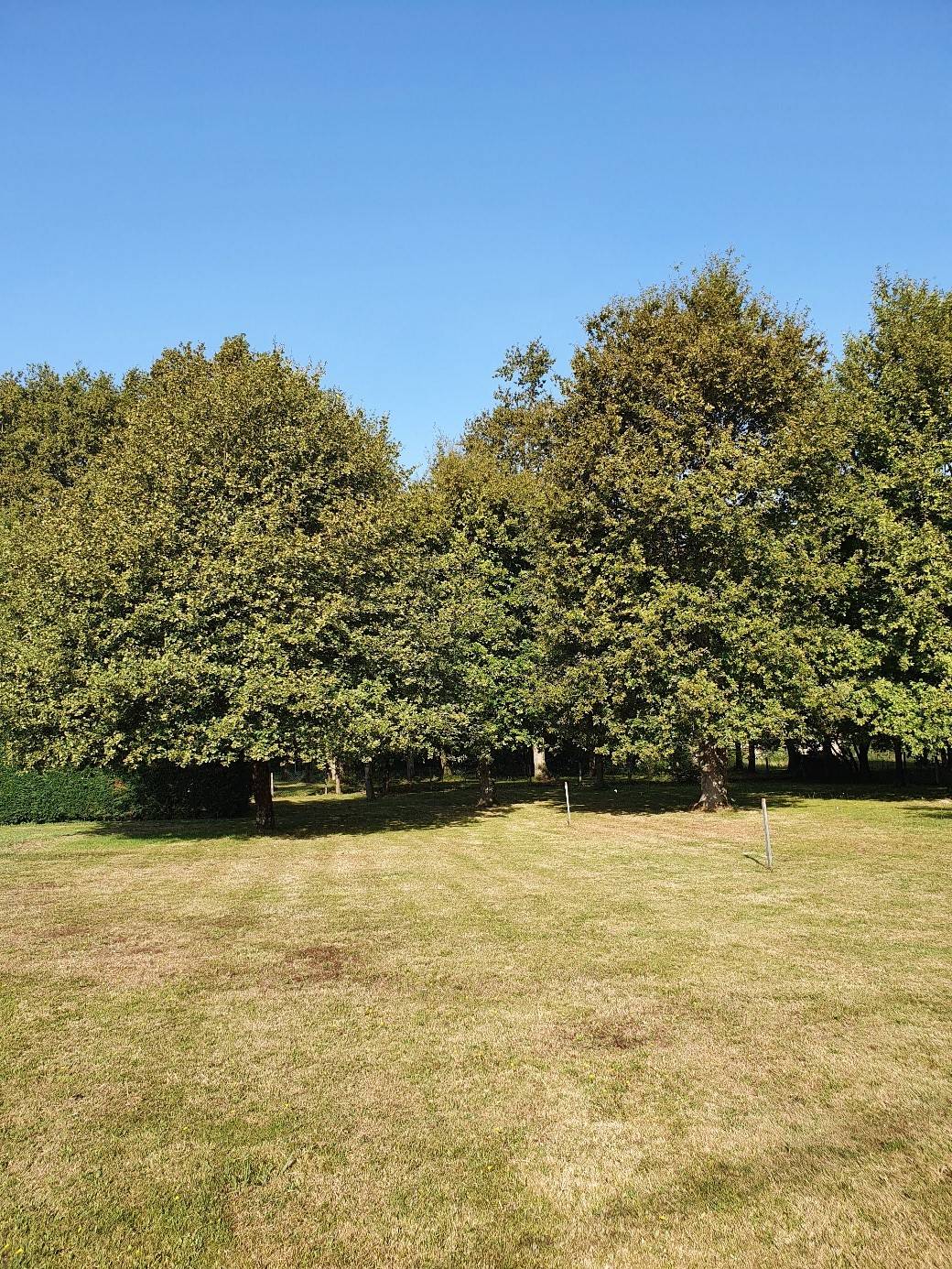 Grand terrain boisé pour la construction d’une maison écologique en bois à SADIRAC