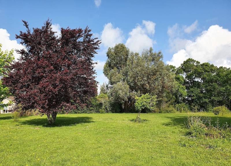 Grand terrain à vendre dans l’Entre-Deux-Mers à GENISSAC