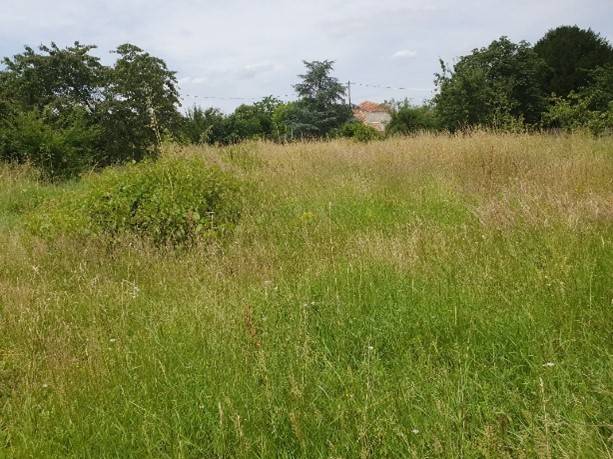 Vente d’un terrain viabilisé pour la construction d’une maison en bois dans la commune de SAINT-MARTIN-DE-GURSON