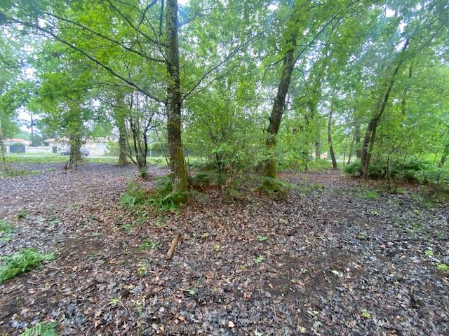 Terrain à vendre LE TEICH pour construction maison neuve en bois