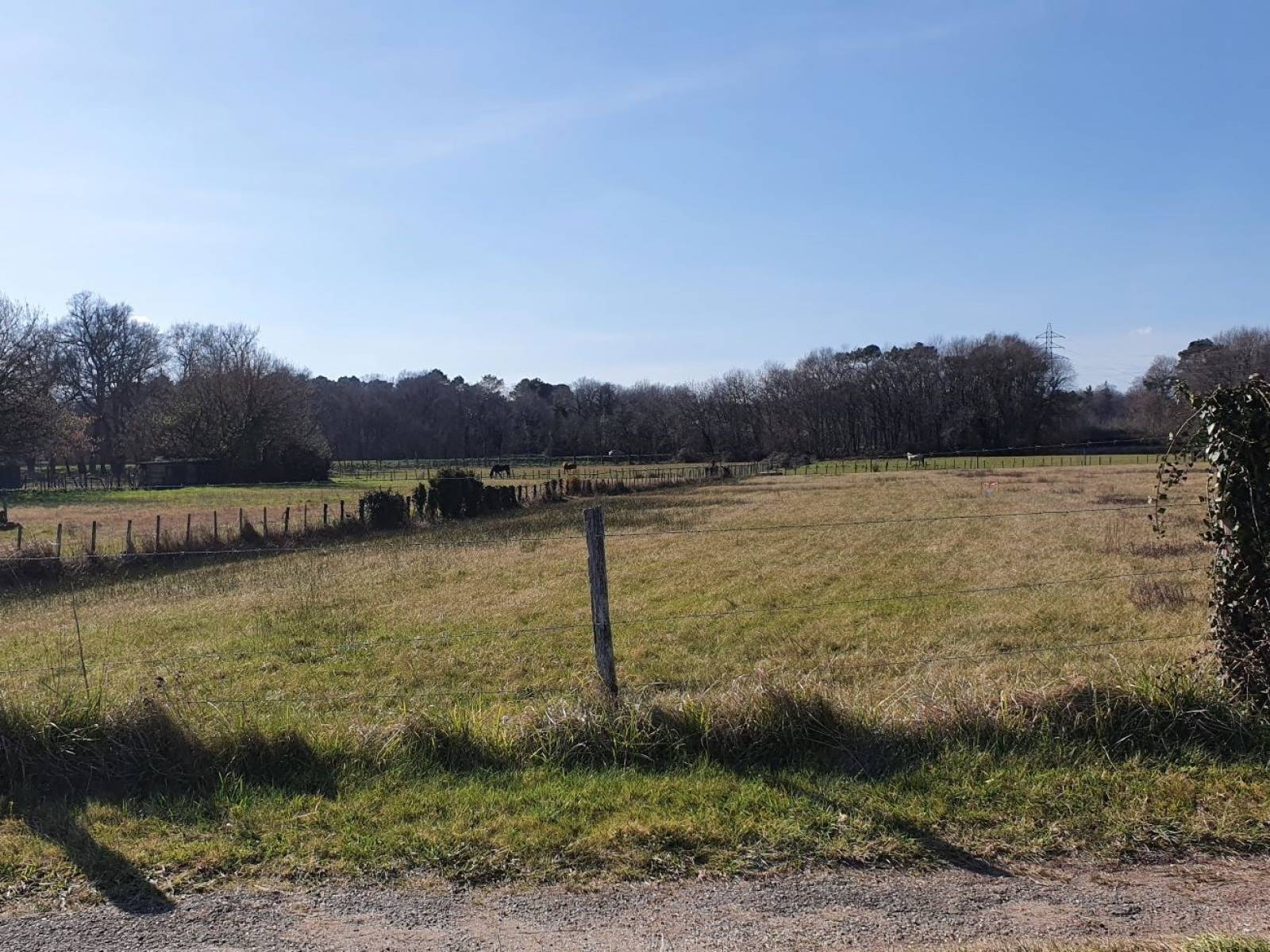 Votre projet de construction d’une maison ossature bois sur la commune de Le Taillan Médoc avec votre constructeur Construction MOBI.