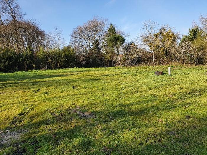 Réaliser une écoconstruction en bois près de Bordeaux dans un lotissement à GRADIGNAN