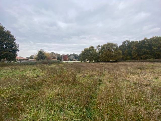 Grand terrain constructible sur la ville de Salles ou alentours pour maison neuve en bois