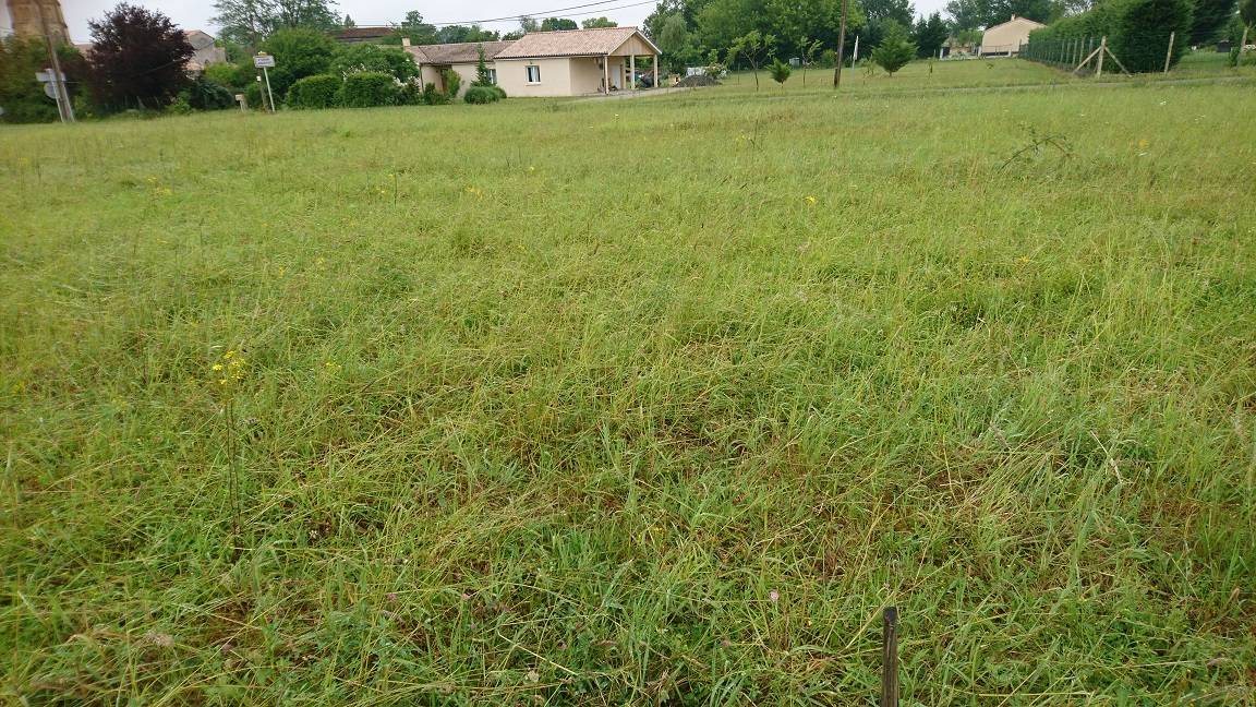TERRAIN PROCHE ST ANDRE DE CUBZAC A VENDRE EXCLUSIVITE C-MOBI A ST GIRONS d'AIGUEVIVES