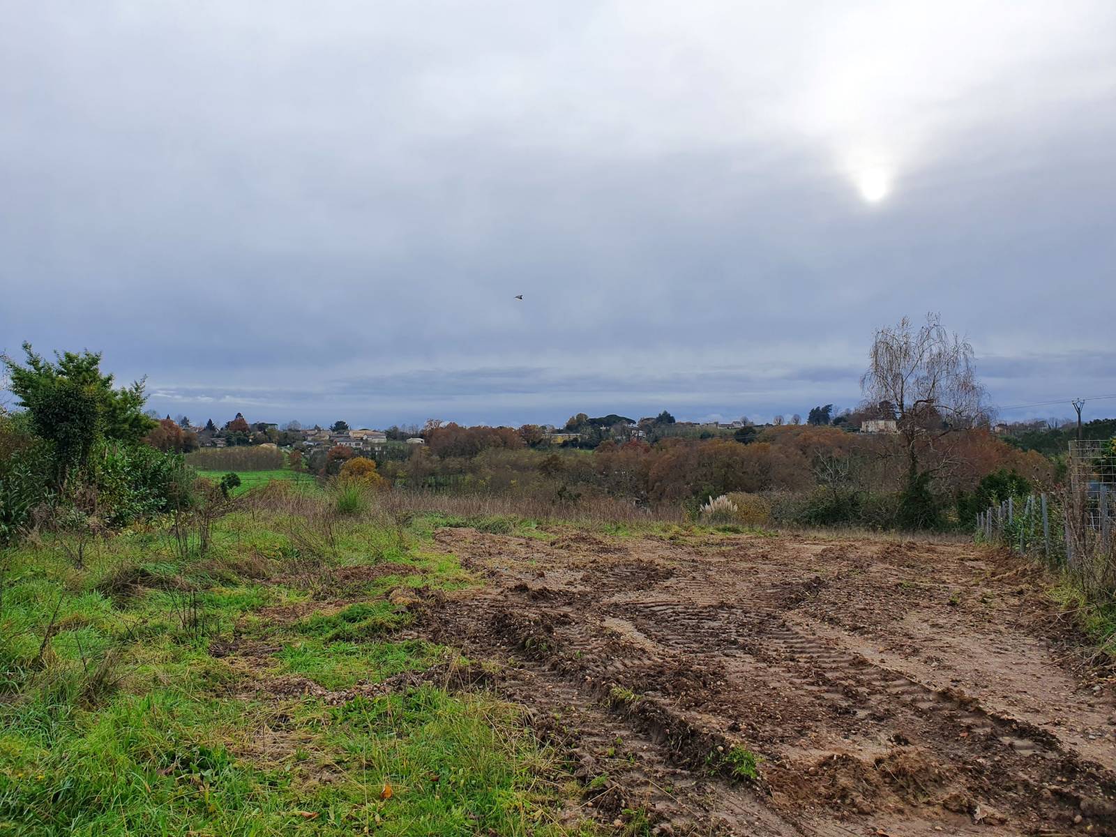 Parcelle à vendre à ST Caprais de Bordeaux pour construire une maison neuve en bois