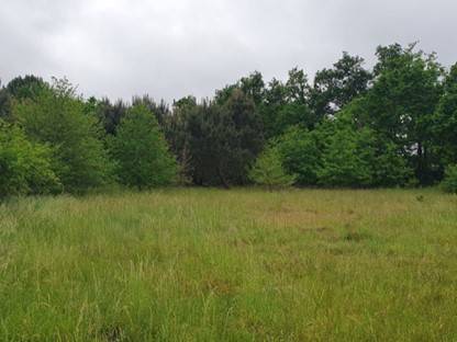 Vente d’un terrain plat au bord de l’océan Atlantique dans la commune Le Porge