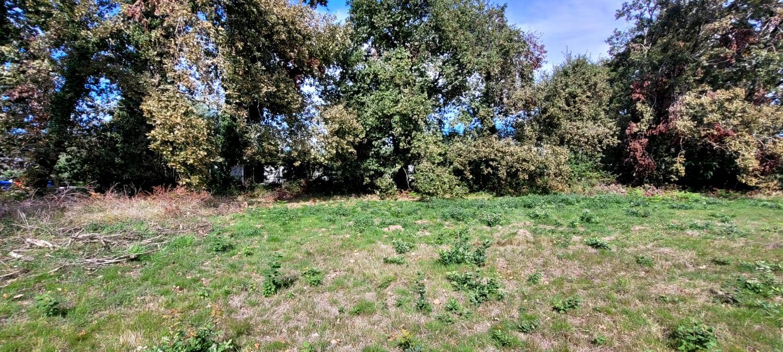 Lege cap ferret terrain maison ossture bois