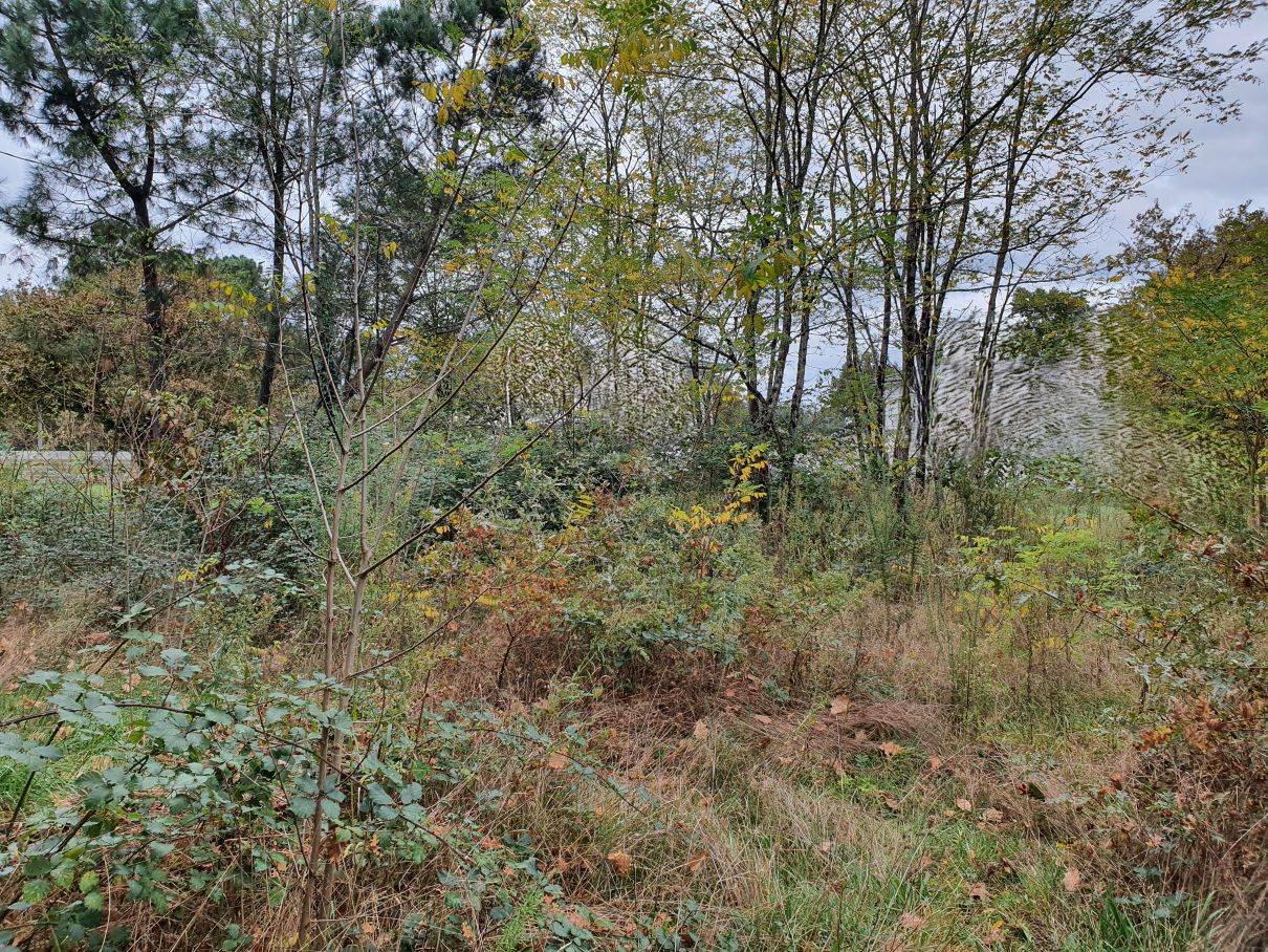 Grand terrain constructible à Marcheprime pour la construction d'une maison C-MOBI