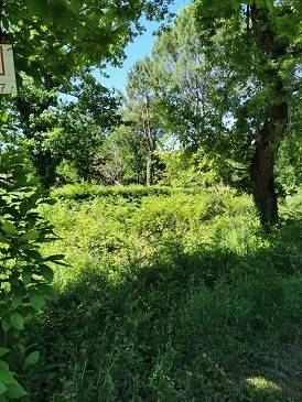 Grande parcelle à bâtir à Grayan et l'Hôpital côte atlantique