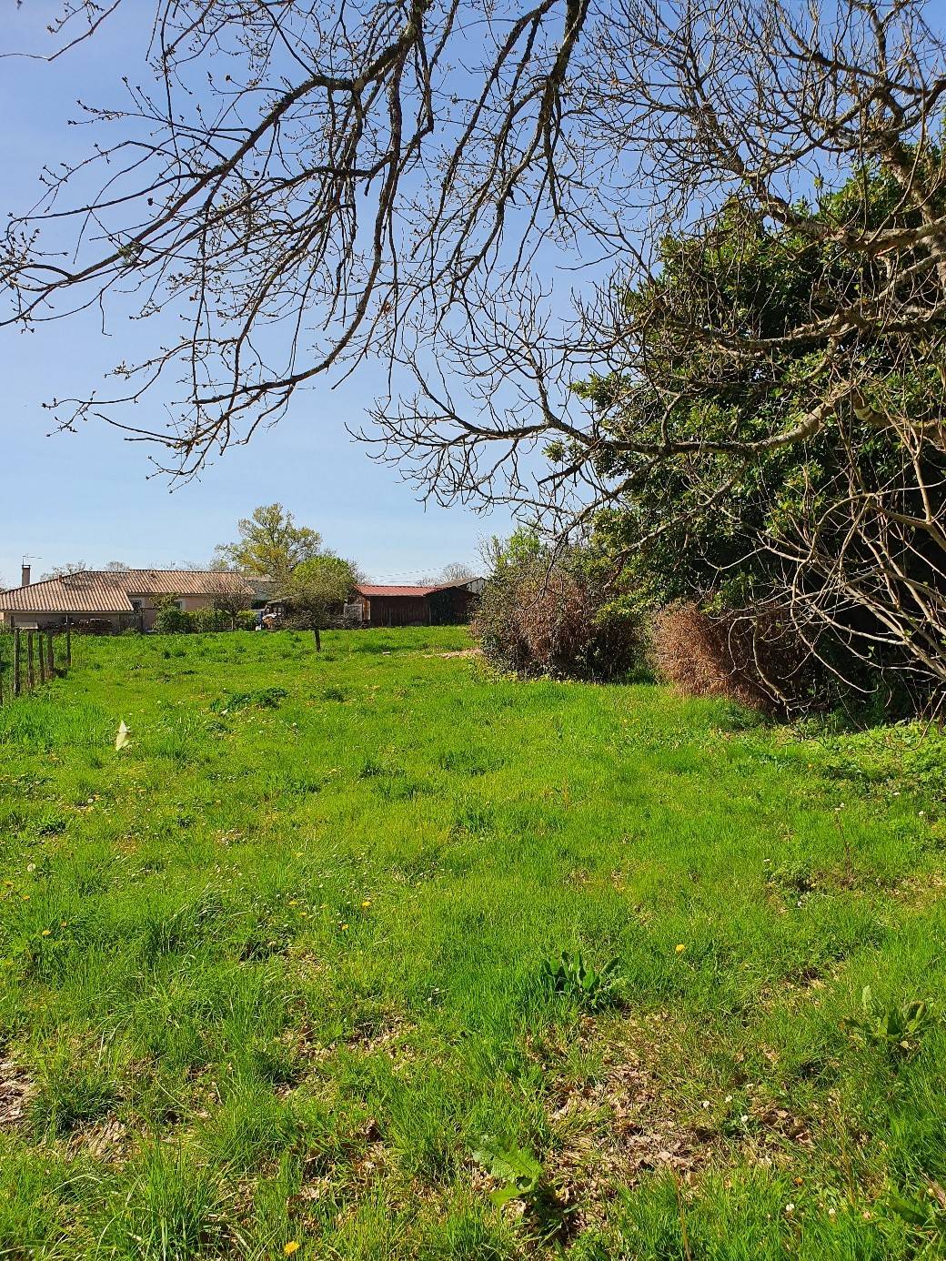 Vente d’un grand terrain à TARGON au prix très abordable près des villes de Créon et Bordeaux