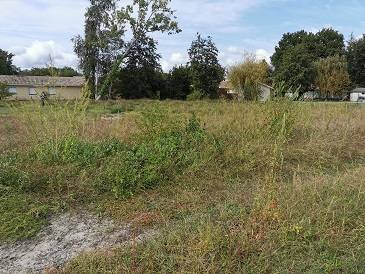 LACANAU dernière parcelle d'un petit lotissement en plein centre ville