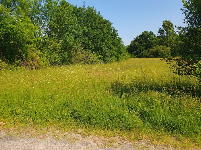 Terrain viabilisé en lisière de forêt à AVENSAN dans le Médoc