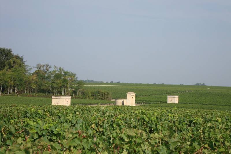 Créer sa maison en ossature bois sur-mesure proche de Bordeaux 