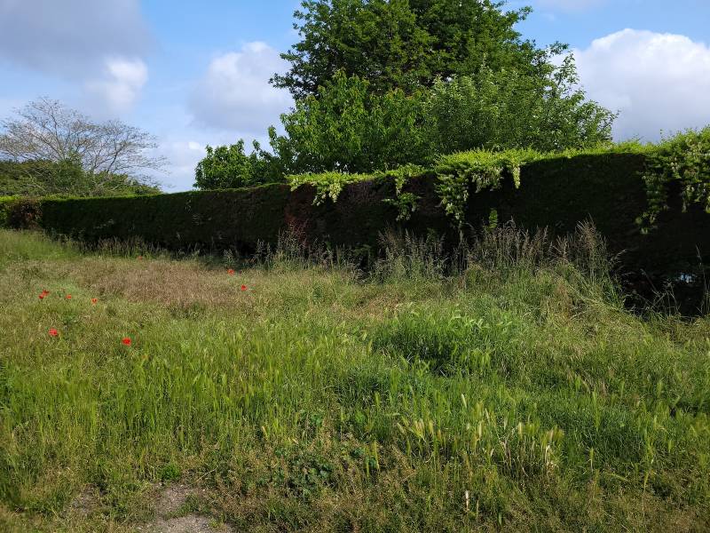 Faire construire sa maison en bois eco-responsable à Lacanau proche de l’océan 
