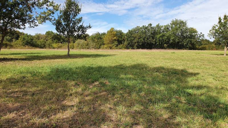 Faire construire sa maison sur mesure en bois à SAINT MARTIN DE GURSON