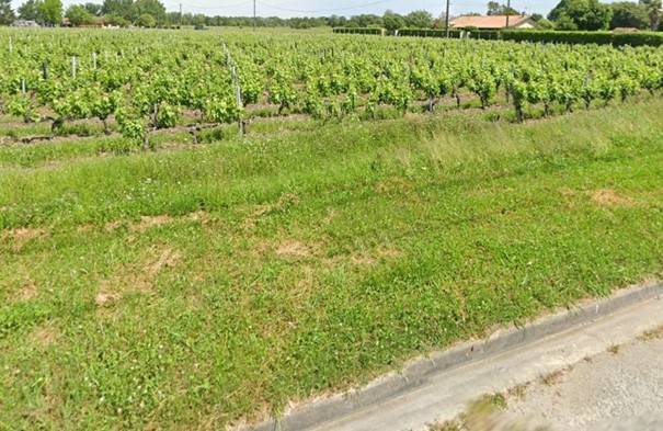 Vente d'un terrain viabilisé dans le Médoc 