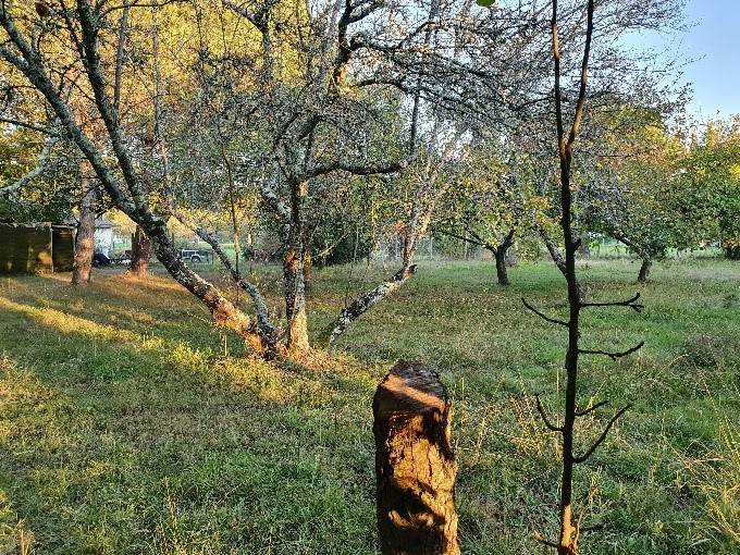 Constructeur de maisons en ossature bois à Bordeaux 