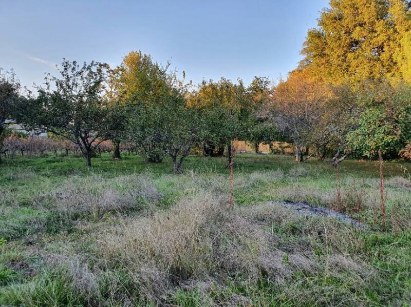Faire construire une maison en bois sur mesure vers Bordeaux 