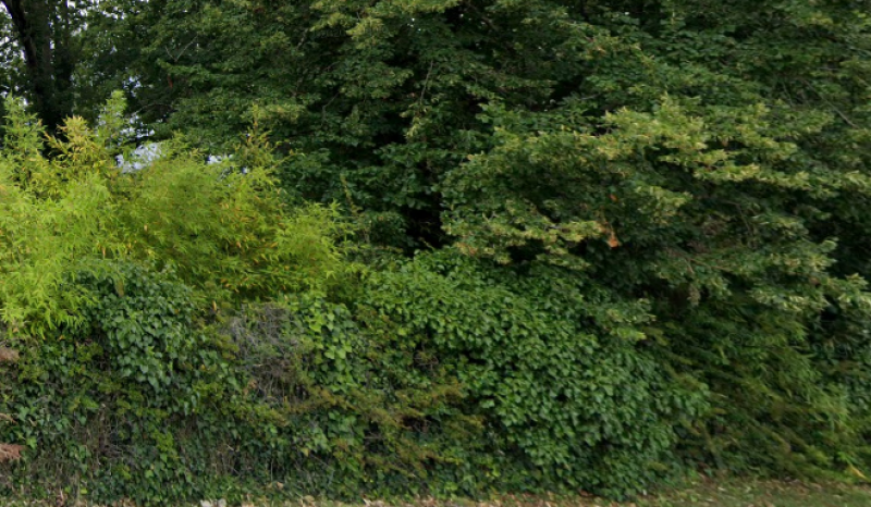 Terrain à bâtir hors lotissement à Arsac en Gironde