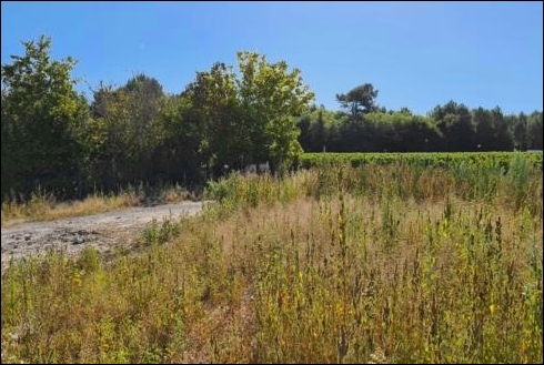 Construire une maison écologique en bois au cœur d'un vignoble à AVENSAN
