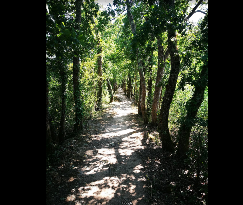 Construction d'une maison à Biganos proche du bassin d'Arcachon