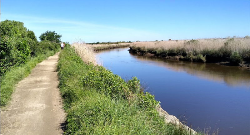 Vivre en Aquitaine au bord de la mer sur le bassin d'Arcachon à Biganos