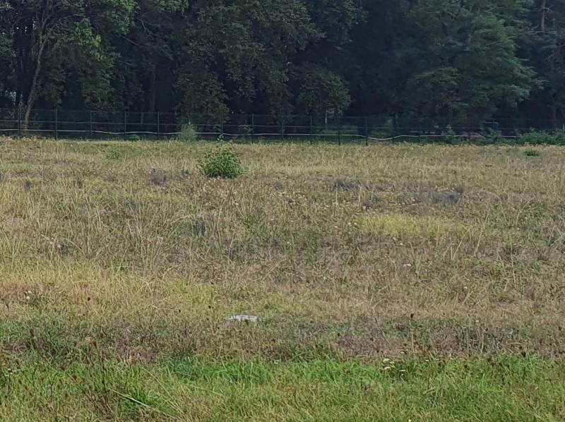 Vivre à Blanquefort, première couronne de Bordeaux Métropole