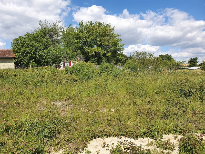 Réaliser sa maison en bois à Budos en Gironde 