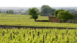 Construire une maison bois sur mesure à Castelnau dans le Médoc en Gironde