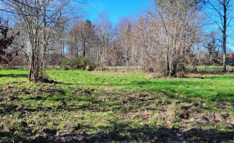 Construire une maison sur un terrain pas cher à Belin Beliet 