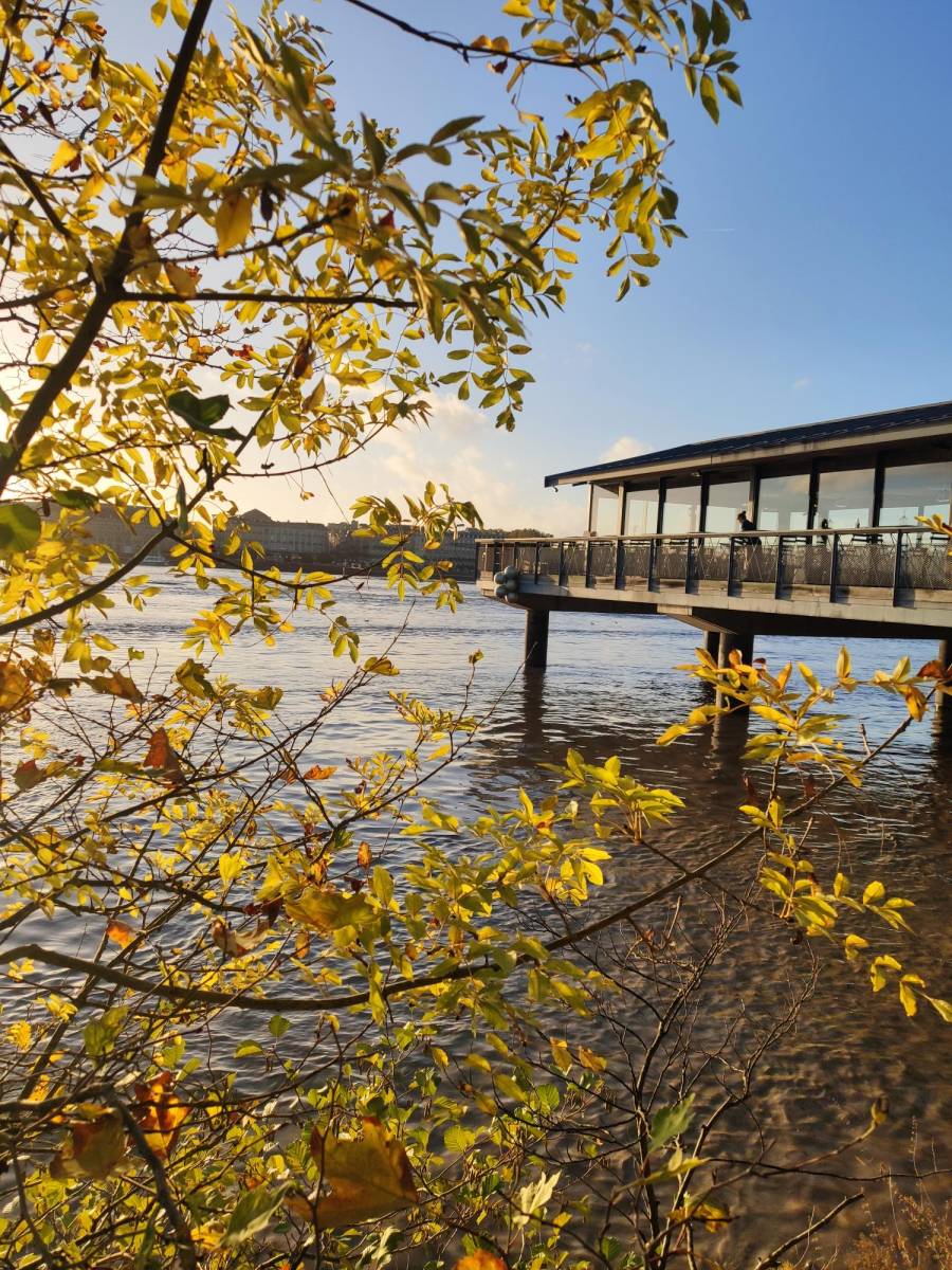 Les activités à faire dans le département de la Gironde