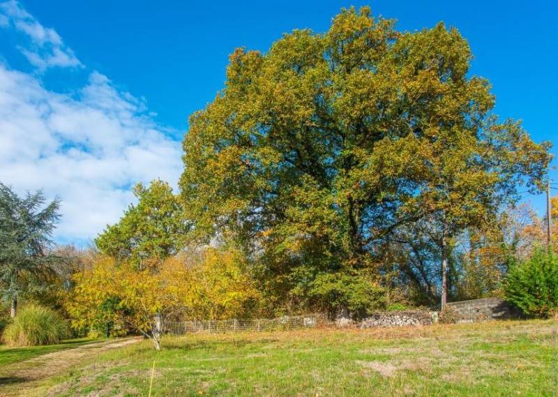 A vendre terrain viabilisé dans la ville de POMPIGNAC près de Bordeaux 