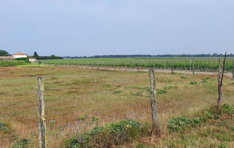 Construire une maison individuelle en ossature bois dans la commune de LUDON MEDOC