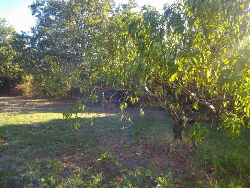 Terrain à construire sur la rive droite dans la commune de SADIRAC