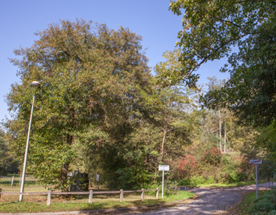 Vivre à la campagne dans une maison écologique sur la commune de CENAC