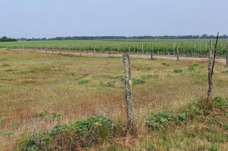 Construire une maison modulable sur un terrain en bordure de la Garonne 