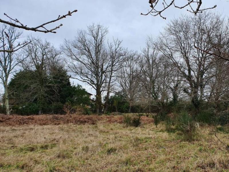 Construire une maison écologique en bois proche de la mer  