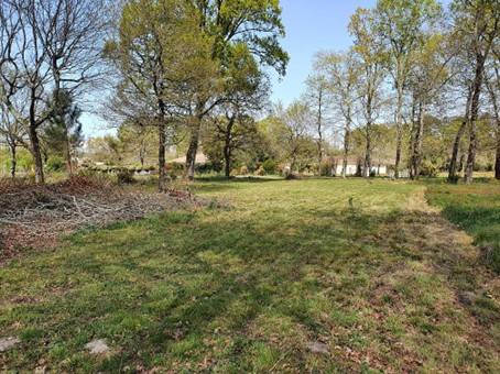 Bâtir une maison en ossature bois vers Bordeaux