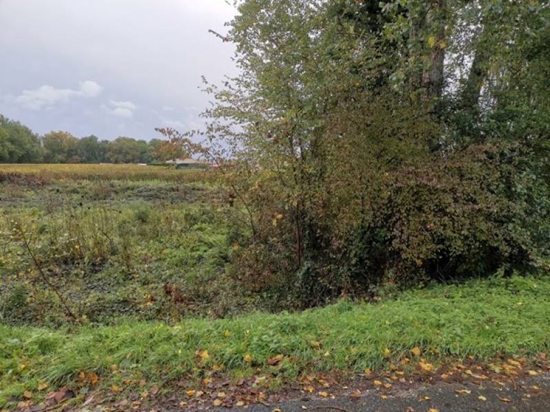 Construire une maison dans un environnement calme près de Bordeaux 
