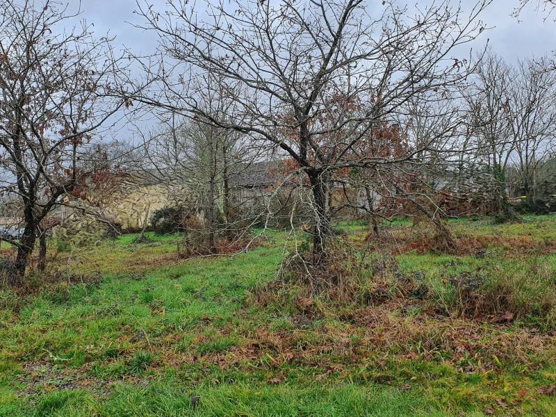 terrain onstructible au barp avec C-MOBI