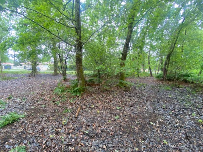 Terrain à vendre LE TEICH pour construction maison neuve en bois