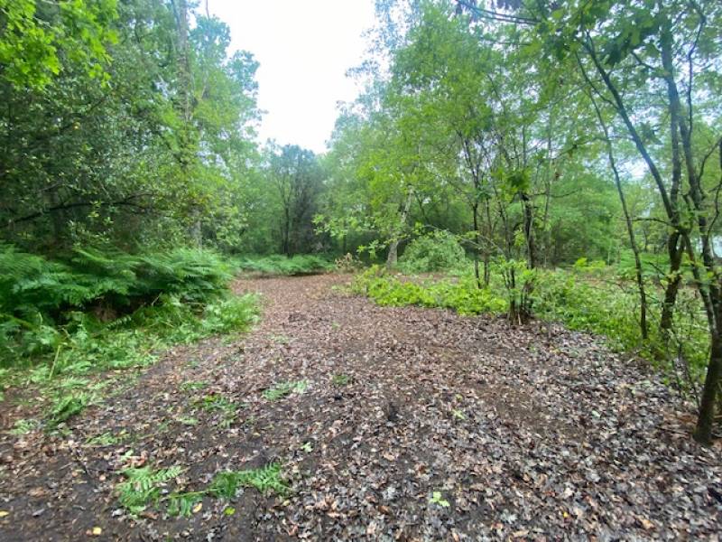 Terrain à vendre Gujan Mestras La Teste Le Teich Gironde Landes de Gascogne