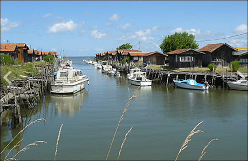 Construire une maison en bois sur le bassin d'Arcachon Le Teich Parc ornithologique