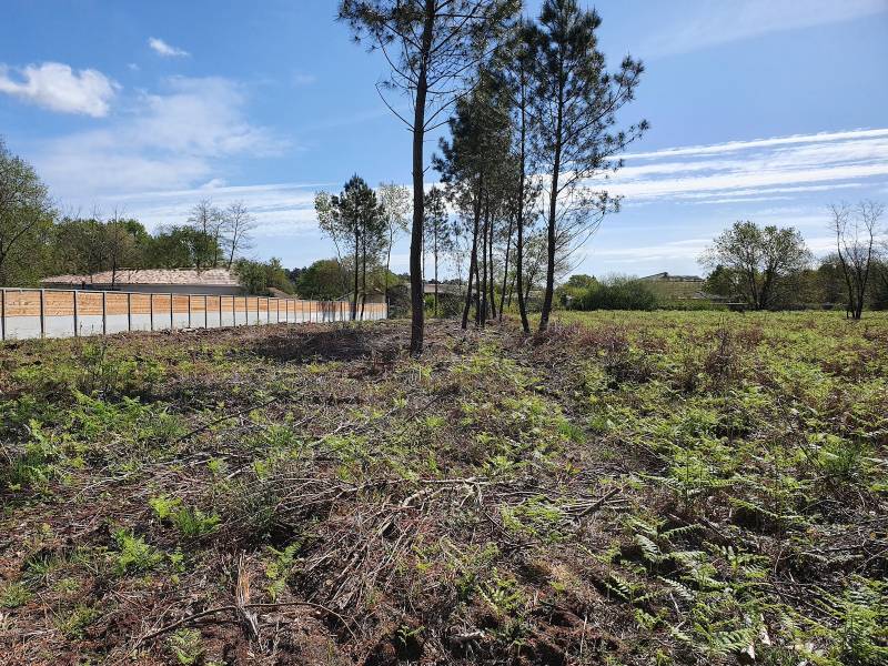 A vendre terrain viabilisé au TEICH sur le Bassin d’Arcachon