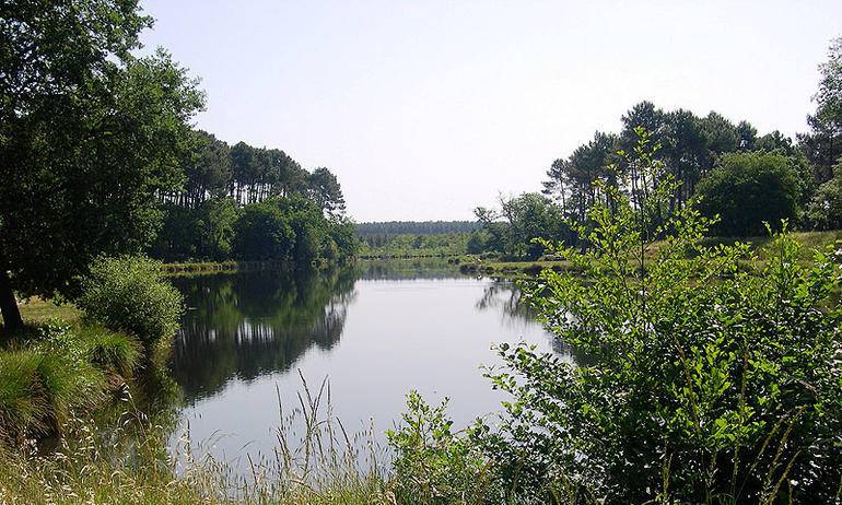 Réaliser son projet de construction sur un terrain boisé à YCHOUX