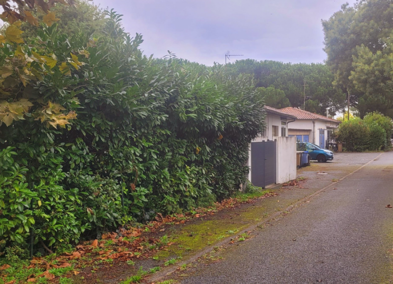 Terrain à vendre avec projet de construction C-MOBI à La Teste-de-Buch Bassin d'Arcachon